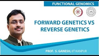 Forward Genetics vs Reverse Genetics