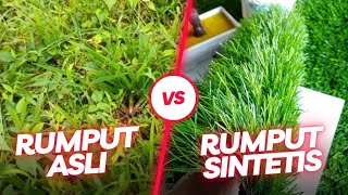 Inilah Perbedaan Rumput Asli \u0026 Rumput Sintetis ‼️