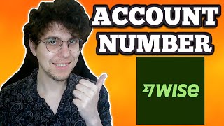 How To Find Wise Account Number