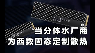 西数SN750 EK版测评----分体水厂商给固态做散热会是啥样