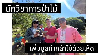 faowland forester EP.17 : นักวิชาการป่าไม้ กับ การเพิ่มมูลค่ากล้าไม้ด้วยเห็ด