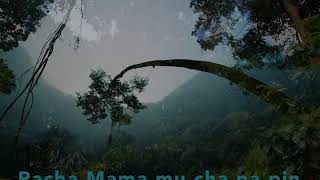 Ayahuasca Music - Icaro- Pacha Mama - Mother Earth Song