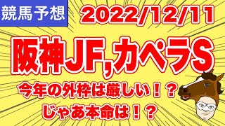 【2022阪神JF,カペラS】今年の外枠は厳しい！？じゃあ本命は！？【競馬予想】