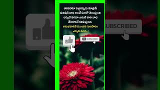 యెదుట మనిషి  బాధ అప్పుడే తెలుస్తుంది #music #love