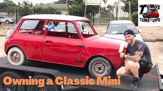 Classic Mini - Tomo’s top 5 things to check regularly when you own a #classicmini