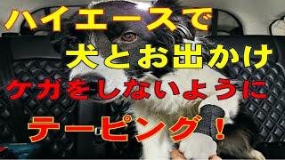 【犬とお出かけ】【ハイエースで車中泊】愛犬の怪我防止の為のテーピング♪＾＾