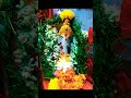 radhaastomi brata puja ganesh chaturthi puja sanatandharma youtubeshorts shorts religion god