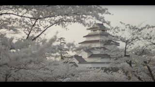 【絶景！桜と城４K空撮映像】まるで桜雲に浮かぶ鶴ヶ城 Tsurugajo castle Sakura Aizu
