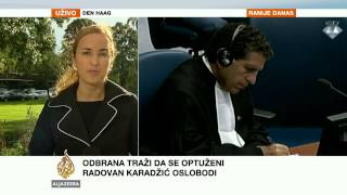 Drlja o kraju suđenja Karadžiću