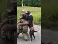 solder u0026 dog 🫶🏻 ukrainian soldier s dog did’t recognize its owner after a long separation shorts