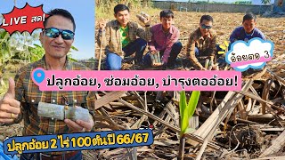 🔴LIVEสด! ความรู้แน่น! วิธีปลูกอ้อยตา ซ่อม บำรุงอ้อยตอ3! อายุ8วัน 2ไร่100ตัน| ผู้จัดการมัน ปี66/67