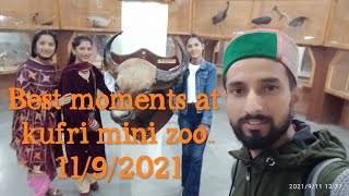 Mini zoo kufri.........