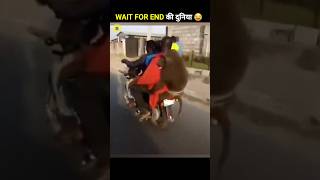 गोरिला अपने दोस्त के साथ 🤣 @dragonkfacts @zipofacts @jsafact #comedyvideo #funnyvideo #shorts