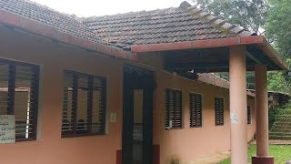 Giant Fish At Sri Vinayaka temple Chibbalagudde | Thirthahalli Shimoga