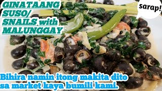 GINATAANG SUSO/SNAILS with MALUNGGAY|Simply Nancy