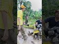 Mantap! kultifator jago nanjak 😎 #viral #shorts #petani