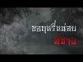 รวมเรื่องผี คัดพิเศษ ep.41 👹 l เล่าเรื่องผี l เขาว่ากันว่าสตอรี่