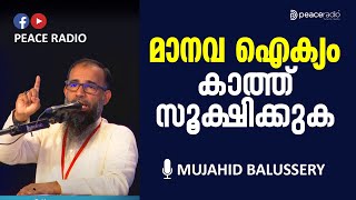 മാനവ ഐക്യം കാത്ത് സൂക്ഷിക്കുക | Peace Radio Eid Talk | Mujahid Balussery