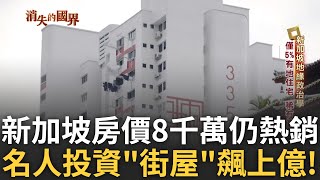 【精華】全國僅有5%人有地住宅 外國富豪投資客使新加坡房產飆升 只做商業用途