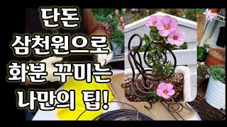 단돈 삼천원으로 화분 꾸미기 팁!