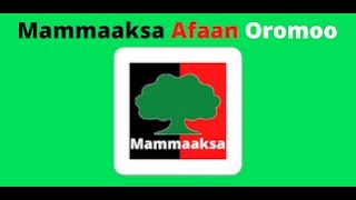 🛑mammaksa oromo, mammaksa afaan oromoo , afan oromo proverb,  Afoola afaan aromoo