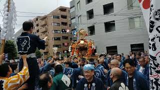 本郷　櫻木神社例大祭➆　三ヶ町神輿渡御　田町　菊坂下　2024/9/29