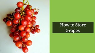 How to store Grapes to keep it fresh for longer duration