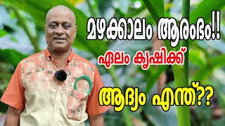 ഏലത്തിന് മഴക്കാല മുൻകരുതലുകൾ എന്തൊക്കെ | CARDAMOM TIPS | Njaanoru Malayali