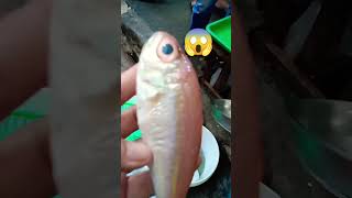 Pink fish #asmer #satisfying #shorts #viral