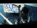 crucifyapril - Linear Vizion (Music Video)