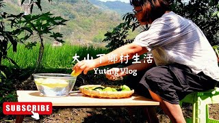 移居鄉村,一個人生活日常 ｜ 院子芒果樹結果了，採摘芒果做芒果青 情人果冰沙｜高雄美濃 鄉村生活日常 【Countryside Life】