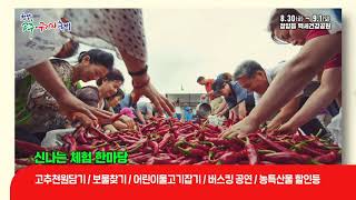 2019 청양고추구기자축제 20초190808