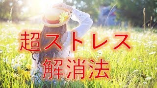 超ストレス解消法【札幌 整体 谷井治療室】