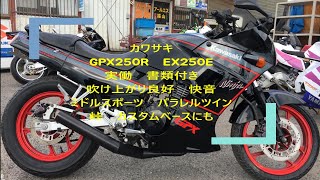 カワサキ   GPX250R   EX250E   実働   書類付き   吹け上がり良好   快音   ミドルスポーツ   パラレルツイン   峠   カスタムベースにも