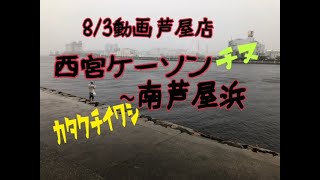 8/3西宮ケーソンから南芦屋浜情報　　　　　フィッシングマックス芦屋店