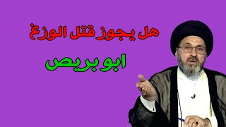 ما هو حكم قتل الوزغ ( ابو برص ) هل يجوز / السيد رشيد الحسيني #السيد_رشيد_الحسيني #فقه_المصطفى