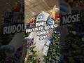 GIANT ANIMATRONIC!! Rudolph the red nose reindeer Animatronic Bumble at Lowe’s #shorts