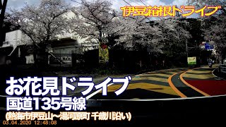 【伊豆・箱根ドライブ】伊豆山〜湯河原 桜を眺めながら