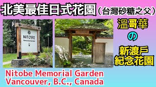 溫哥華 新渡戶紀念花園(台灣砂糖之父) Nitobe Memorial Garden~如如加拿大生活72