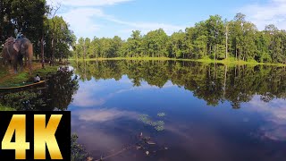 Sauraha, Chitwan National Park-Virtual Tour | 4K| Let's Go