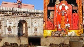 Karni mata mandir deshnok Bikaner | भारत का एक अनोखा मंदिर जो चूहों के नाम से जाना जाता है Karni ma.