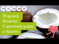 COCCO: Il Frutto Miracoloso che Ti Rigenera!🥥 Benefici, Proprietà e Ricette