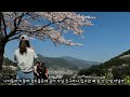 지나고vlog ep16.남해의봄... 벚꽃🌸 남해숨은벚꽃명소 합천백리벚꽃길