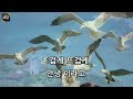 아싸매직씽 쟈나리 뜨거운안녕 karaoke magicsing