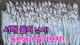 서해 풀치 낚시! 땡기다 보니 아침?