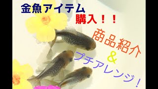 【金魚らいふ】 あの、有名アクアショップからお届けものです❗