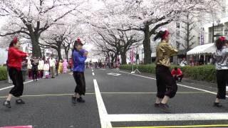 MY matsuri ひたち舞祭 Hi-杯 2014   ～Bステージ　＜RETORO　GIRL＞