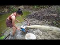 wilderness life catching giant fish selling at the market and cooking delicious meals