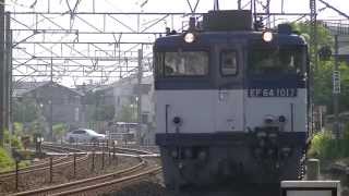 EF64 1017 単8863レ　東海道本線三島－沼津間　西寺脇踏切