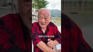 十一怎么旅游 你们看宝宝说的对不对实话实说 搞笑